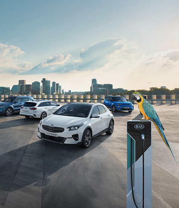 A nova família eletrificada Kia Niro.