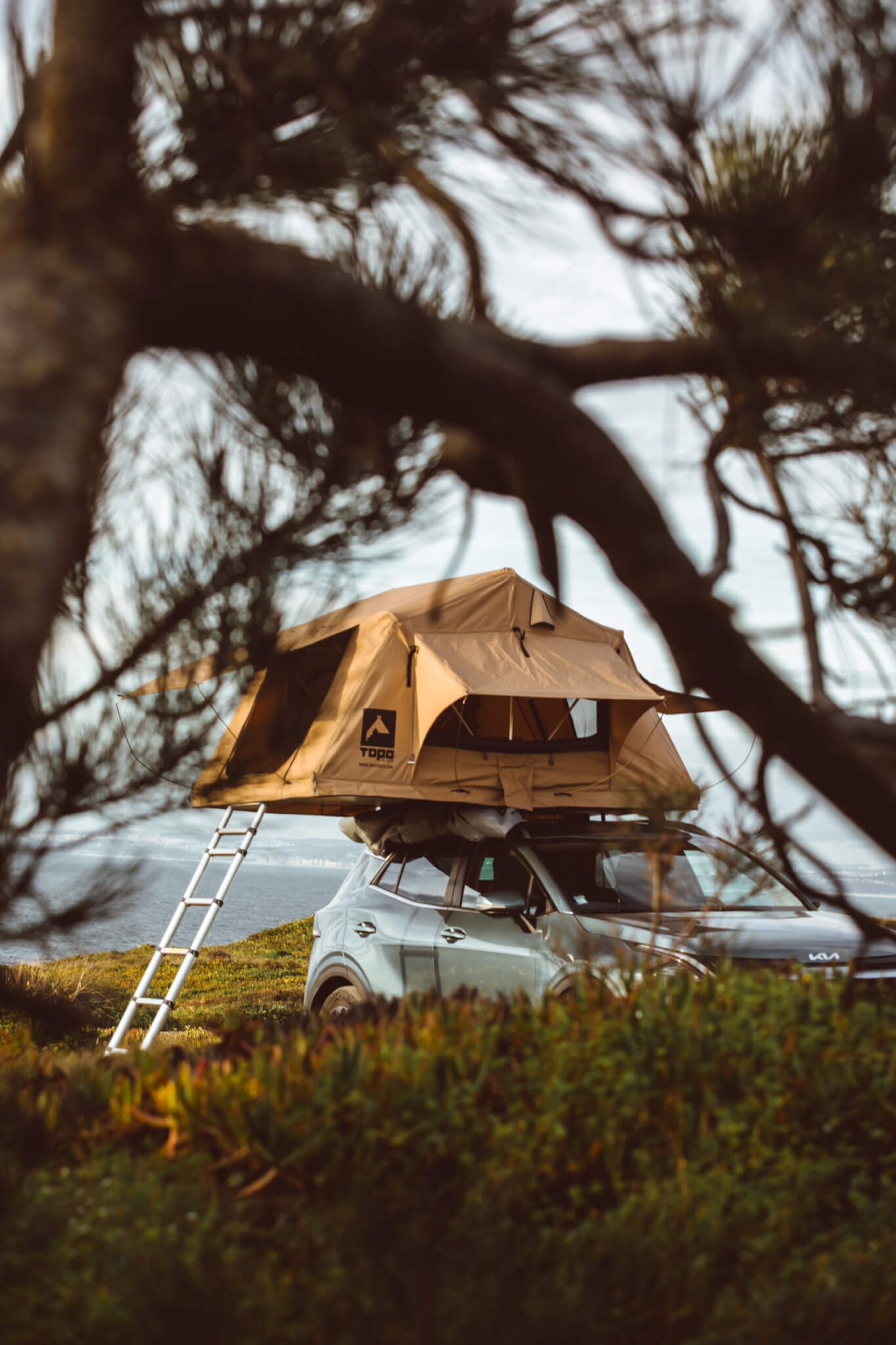 Descobre as Topo Tents